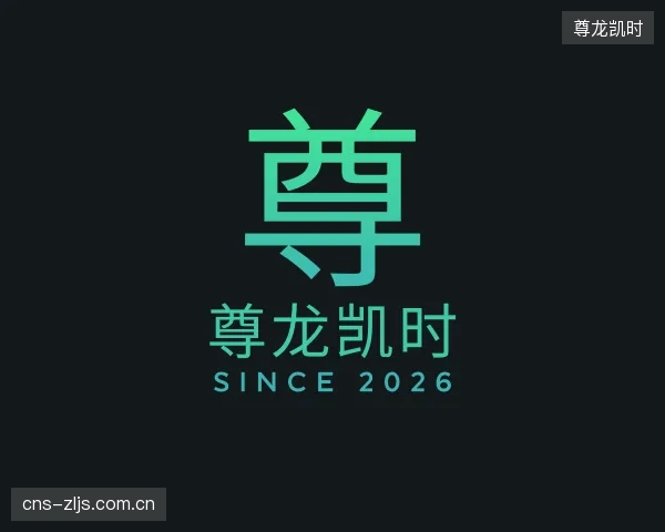 解读尊龙凯时团队